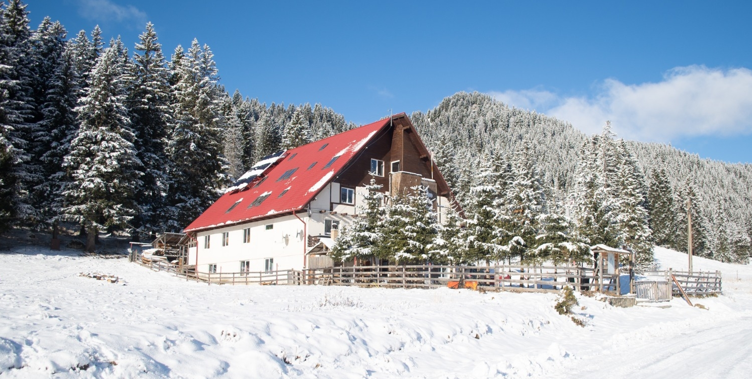 Platoul Padina - Bucegi